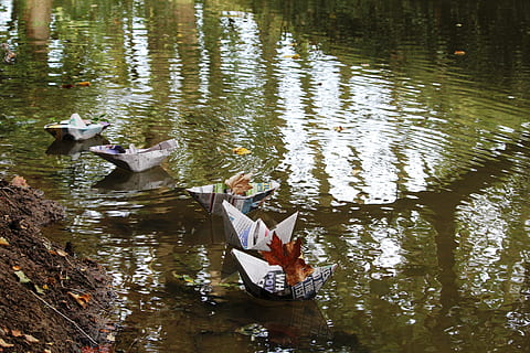 boat, sail, float, paper, newspaper, origami, group of animals, water, vertebrate, animal themes, lake, animal, reflection, animal wildlife, animals in the wild, day, no people, nature, waterfront, bird, high angle view, outdoors, plant, tree, swimming, 5K, CC0, public domain, royalty free
