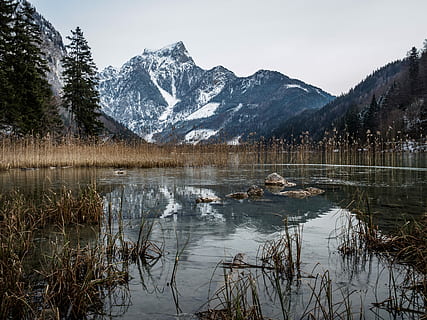 Brun, planter, organer, vand, snow cap mountain, dagtimerne, landskab, bjerg, træ, Skov, afspejling, scenics - natur, sø, sne, skønhed i naturen, kold temperatur, vinter, plante, bjergkæde, ro, rolig scene, himmel, natur, ingen mennesker, miljø, snedækket bjerg, udendørs, bjergtop, 4K, CC0, offentligt domæne, royaltyfrie