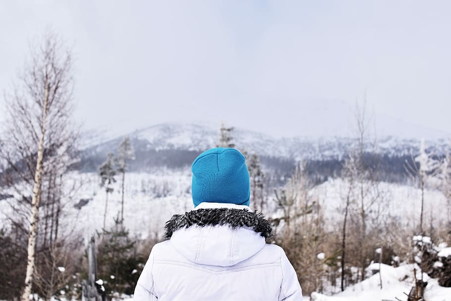 natursüchtig, Person, Stehen, verwelkt, Baum, bedeckt, Schnee, blauer Hut, Wald, Winter, weißer Mantel, kalte Temperatur, Rückansicht, Kleidung, warme Kleidung, Hut, eine Person, Strickmütze, Tag, Freizeitbeschäftigung, Kapuze, Natur, Erwachsene, Kopfschuss, Fokus auf den Vordergrund, Frau, Kapuze - Kleidung, draußen, 5K