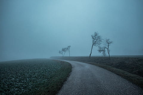 braun, Asphaltstraße, umgeben, Grün, Rasenplatz, grau, Himmel, Weg, Mitte, Nebel, Straße, Feld, Baum, Winter, Pflanze, Transport, Ruhe, der Weg nach vorn, ruhige Szene, Schönheit in der Natur, Umgebung, Richtung, Natur, keine Leute, Landschaft, Land, Szenen - Natur, Tag, draußen, 5K, CC0, gemeinfrei, lizenzfrei