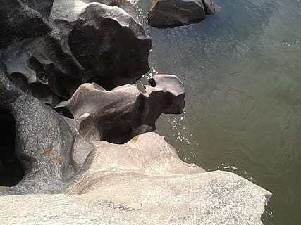 alveo, fiume, rocce, acqua, animale, temi animali, solido, roccia, roccia - oggetto, mammifero, vertebrato, natura, giorno, nessuno, lago, animali allo stato selvatico, fauna selvatica, vista dall'alto, gruppo di animali, formazione rocciosa, luce del sole, zoo, 1080P, CC0, dominio pubblico, privo di copyright