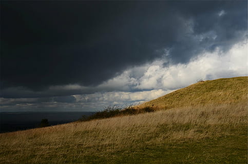 gressfelt, grå, skyer, mørk, himmel, bakker, dagtid, storm, skyet, felt, gress, natur, landskap, scenics, sky - himmel, vær, stormsky, skjønnhet i naturen, ro, miljø, naturskjønnhet - natur, anlegg, land, ikke-urbane scene, rolig scene, ingen folk, overskyet, høyde, utendørs, illevarslende, 1080P, CC0, offentlig domene, opphavsrett gratis