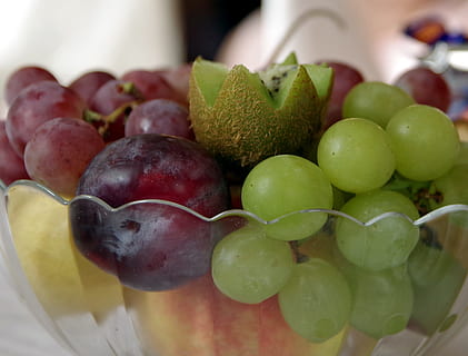 frukt, druer, kiwi, plomme, bolle, grønn, Lene seg, fersk, sunn, kosthold, ernæring, vitaminer, mat, spiser, Helse, mat og Drikke, spise sunt, velvære, friskhet, drue, nærbilde, ingen folk, stilleben, valg, fokusere på forgrunnen, variasjon, innendørs, stor gruppe gjenstander, tallerken, overflod, eple - frukt, grønn farge, moden, fruktsalat, brett, 2K, CC0, offentlig domene, opphavsrett gratis