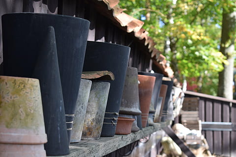 jardí, olla, olles, verd, estiu, flors, plantes, plantar, floració, terracota kruka, planta, flor, estructura construïda, arquitectura, dia, cap gent, centrar-se en primer pla, espiritualitat, religió, naturalesa, creença, en fila, a l'aire lliure, lloc de culte, primer pla, arbre, edifici, enfocament selectiu, material de fusta, equip religiós, 5K, CC0, domini públic, lliure de regalies