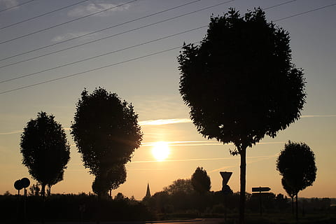solnedgang, træer, baglygte, natur, solstråle, sol, gyldne oktober, lyse, humør, gylden, træ, himmel, silhuet, plante, vækst, skønhed i naturen, ingen mennesker, sollys, ro, kabel, rolig scene, udendørs, scenics - natur, elektricitet, strømkabel, Mark, landskab, Strømforsyning, 5K, CC0, offentligt domæne, royaltyfrie