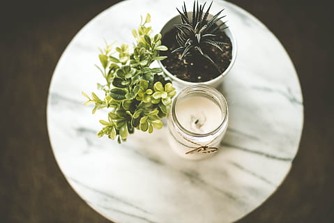 hvid, offerfund, lys, plantepotte, ved siden af, grøn, saftige, plante, votive stearinlys, saftige plante, urt, blad, mad, natur, grøn farve, direkte over, høj vinkel visning, ingen mennesker, indendørs, tæt på, friskhed, bord, stilleben, blomst, mad og drikke, vækst, velvære, skønhed i naturen, fokus på forgrunden, blomstrende plante, sund kost, plade, glas, 5K, CC0, offentligt domæne, royaltyfrie
