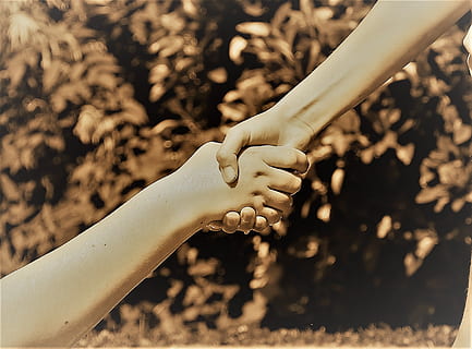 pessoa de mãos dadas, mãos, amizade, Socorro, juntos, amor, apertando as mãos, aperto de mão, mão, mão humana, parte do corpo humano, focar em primeiro plano, parte do corpo, pessoas reais, dia, estilos de vida, fechar-se, pessoas, natureza, mulheres, luz solar, segurando, dedo, dedo humano, adulto, ao ar livre, união, 1080P, CC0, domínio público, royalty free