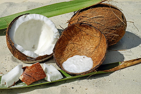 Kokosnussfrucht, Kokosnuss, Nuss, Schale, braun, Fruchtfleisch, köstlich, gesund, Ernährung, Lebensmittel, exotisch, Vitamine, Essen, Essen und Trinken, Frische, keine Leute, gesundes Essen, High Angle View, Nahansicht, Stillleben, fertig für den Verzehr, Wohlbefinden, Obst, Blatt, Milchprodukt, Pflanzenteil, Genuss, Versuchung, Brot, Süss, Tabelle, Snack, 4K, CC0, gemeinfrei, lizenzfrei