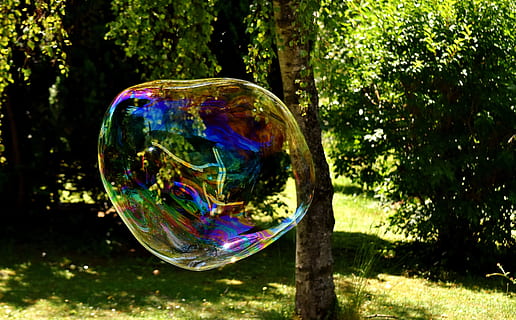 Soap Bubble, Huge, large, make soap bubbles, wabbelig, iridescent, soapy water, fun, fly, colorful, bubble, soap sud, bubble wand, rainbow, refraction, spectrum, tree, nature, fragility, plant, multi colored, vulnerability, day, transparent, mid-air, outdoors, sunlight, no people, reflection, beauty in nature, focus on foreground, land, close-up, park, 5K, CC0, public domain, royalty free