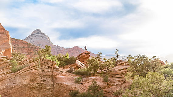 Schlucht, umgeben, Bäume, Felsformation, Grün, tagsüber, Rock, Baum, Berg, Wüste, Wolke, Sandstein, Abenteuer, auf Felsen stehend, trocken, sandig, Mann, Wanderung, erkunden, allein, Felsblock, Reiseziele, Religion, Reise, Geschichte, die Architektur, Himmel, wolke - himmel, Anbetungsstätte, die Vergangenheit, Szenen - Natur, solide, Landschaft, Natur, Umgebung, Tourismus, Glauben, uralt, keine Leute, Gebirge, draußen, alte Zivilisation, Archäologie, 5K, CC0, gemeinfrei, lizenzfrei