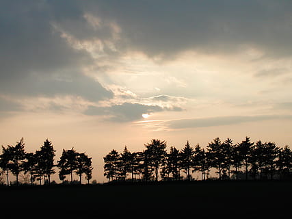 zonsondergang, velden, zonlicht, wolken, landschap, abendstimmung, avondlucht, rand van het bos, achterlicht, schemering, hemel, boom, silhouet, wolk - lucht, schoonheid in de natuur, fabriek, kalmte, rustige scène, scenics - natuur, natuur, geen mensen, groei, milieu, land-, niet-stedelijke scène, idyllisch, buitenshuis, veld-, 1080P, CC0, publiek domein, royaltyvrij