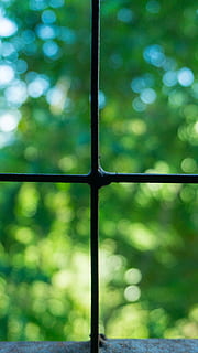 ferestre, pătrat, vedere, cruce, verde, traversa, verde, copac bokeh blur, curat, proiecta, arhitectură, casă, epocă, vechi, rece, clasic, cameră, spaţiu, Culoarea verde, natură, defocalizat, în aer liber, nici o persoana, fereastră, vară, să se concentreze asupra primelor elemente, metal, zi, a închide, protecţie, Securitate, plantă, creştere, cadru complet, Siguranță, copac, teren, gard, barieră, limite, umed, puritate, 5K, CC0, domeniu public, fără drepturi de autor