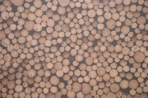 pila de llenya, sense títol, fusta, registre, pila, paret de fusta, pila de fusta, serradora, anell d’arbre, branca, monyó, monstre de l'arbre, bosc, arbre, marc complet, fons, gran grup d'objectes, cap gent, abundància, patró, naturalesa, repetició, a l'aire lliure, dia, primer pla, textura, natura morta, arranjament, menjar i beguda, il·luminat, vista d’angle alt, 5K, CC0, domini públic, lliure de regalies