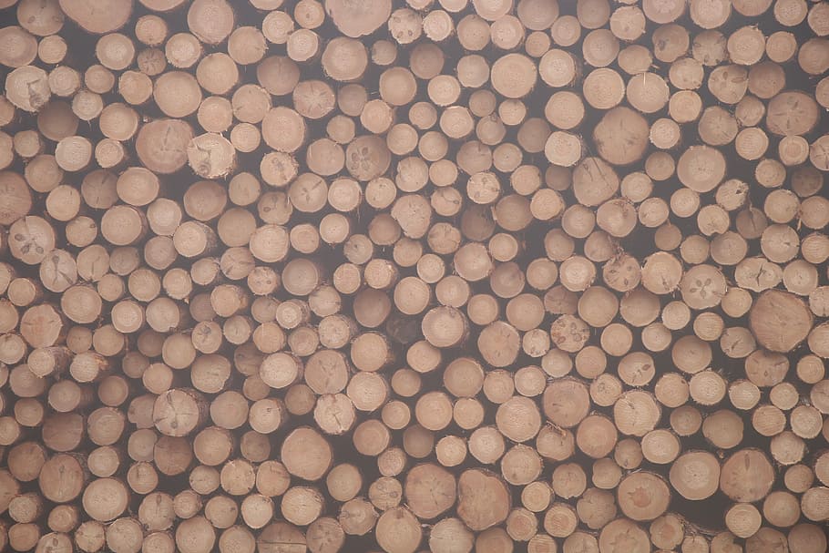 pila de llenya, sense títol, fusta, registre, pila, paret de fusta, pila de fusta, serradora, anell d’arbre, branca, monyó, monstre de l'arbre, bosc, arbre, marc complet, fons, gran grup d'objectes, cap gent, abundància, patró, naturalesa, repetició, a l'aire lliure, dia, primer pla, textura, natura morta, arranjament, menjar i beguda, il·luminat, vista d’angle alt, 5K