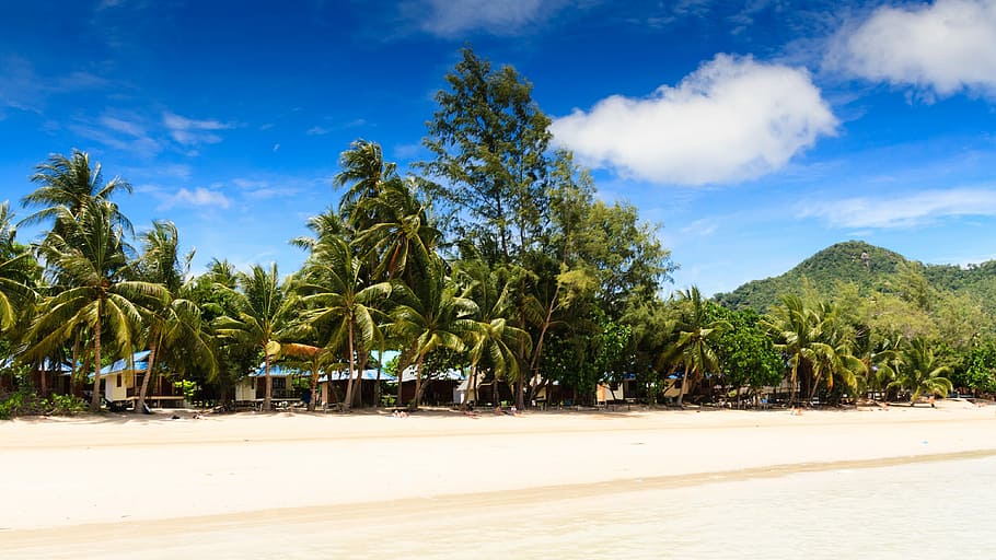 platja, sorra, sorra, mar, núvols, arbres, vista, platja, sorra, mar, palmeres, Tailàndia, koh tao, arbre, cel, naturalesa, tranquil·litat, núvol - cel, terra, clima tropical, planta, bellesa a la natura, escenics - natura, Palmera, escena tranquil·la, dia, llum solar, aigua, blau, creixement, medi ambient, cap gent, palmera de coco, a l'aire lliure, arbre tropical, 4K
