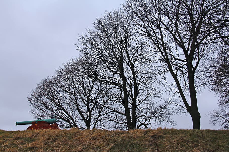 castell, vell, bonic, hivern, fred, viatjar, fortalesa d'Akershus, fortalesa, oslo, noruega, europa, escandinavia, arbre, arbre nu, planta, cel, terra, naturalesa, branca, cap gent, camp, dia, bellesa a la natura, tranquil·litat, escenics - natura, escena no urbana, escena tranquil·la, paisatge, medi ambient, a l'aire lliure, arquitectura, estructura construïda, 2K