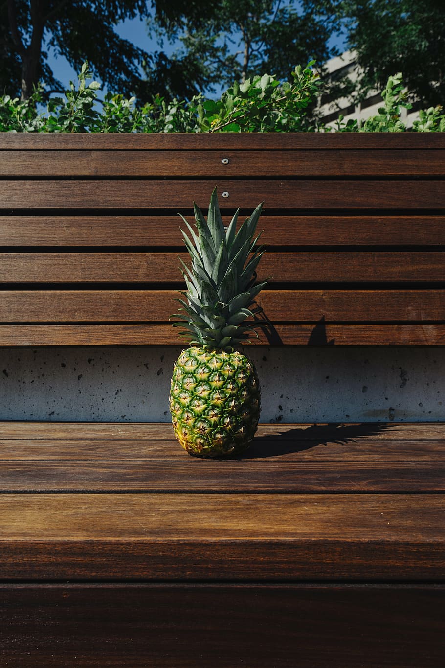 lavice, ovoce, ananas, rostlin, letní, letní vibrace, léto, strom, tropický, tropické ovoce, městský, dřevo, dřevo - materiál, jídlo, Příroda, nikdo, zelená barva, Zdravé stravování, den, rostlina, jídlo a pití, blahobyt, svěžest, růst, venku, detail, hrnkové rostliny, stůl, 5K