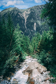 aereo, guarda la fotografia, montagna, nuvoloso, cielo, fiume, montagne, blu, cieli, scogliera, cascata, albero, foresta, bosco, roccia, ruscello, ciottolo, acqua, Francia, Svizzera, alp, ponte, pista, pianta, scenics - natura, bellezza nella natura, natura, la tranquillità, scena non urbana, terra, scena tranquilla, crescita, ambiente, giorno, fogliame lussureggiante, colore verde, fogliame, nessuno, idilliaco, acqua corrente, all'aperto, fluente, 4K, CC0, dominio pubblico, privo di copyright