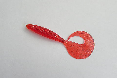 esche, pesce, verme di gomma, rosso, girato in studio, in casa, cibo, cibo e bevande, emozione positiva, singolo oggetto, natura morta, nessuno, amore, sfondo bianco, a forma di cuore, emozione, cibo dolce, copia spazio, avvicinamento, vista dall'alto, caramella, creatività, freschezza, San Valentino - vacanze, 4K, CC0, dominio pubblico, privo di copyright