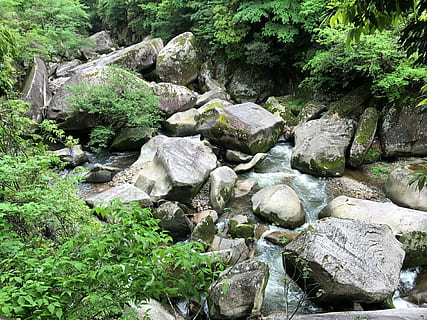 Skála, proti proudu, řeka, pevný, rock - objekt, rostlina, strom, krása v přírodě, růst, Příroda, voda, zelená barva, nikdo, den, les, přistát, klid, venku, mimoměstské scény, stahování, scenics - příroda, tekoucí voda, proud - tekoucí voda, tekoucí, 4K, CC0, veřejná doména, bez autorských práv