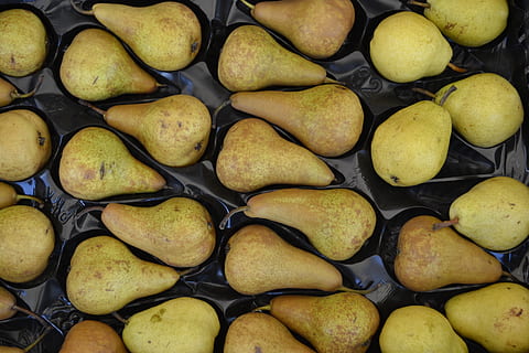 pera, peres, fruita, tardor, marró, saludable, marc complet, fons, frescor, menjar i beguda, menjar, gran grup d'objectes, alimentació saludable, benestar, cap gent, groc, natura morta, a l'interior, abundància, primer pla, directament a sobre, arranjament, repetició, vista d’angle alt, forma, temptació, 2K, CC0, domini públic, lliure de regalies