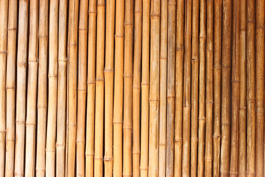 bambús marró, bambú, textura, vermell, fons, material de bambú, patró, naturalesa, material de fusta, bambú - planta, marró, asia, primer pla, Japó, pal - part de la planta, cultura asiàtica oriental, cultura japonesa, marc complet, repetició, cap gent, fusta, gran grup d'objectes, abundància, dia, detall, a l'aire lliure, disseny, 4K