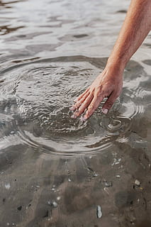touching the water, Touching, water, sea, hand, male, waterscape, man's hand, human Hand, men, beach, people, nature, rippled, human body part, one person, day, real people, body part, waterfront, high angle view, lifestyles, wet, human leg, unrecognizable person, leisure activity, finger, outdoors, human limb, human foot, purity, 4K