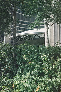 bianca, calcestruzzo, costruzione, alberi, nero, dipinto, Casa, fotografia architettonica, architettura, albero, all'aperto, nessuno, pianta, struttura costruita, colore verde, crescita, natura, giorno, esterno dell'edificio, foglia, parte vegetale, luce del sole, bellezza nella natura, cortile anteriore o posteriore, pianta fiorita, fiore, 5K, CC0, dominio pubblico, privo di copyright