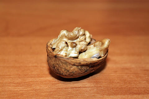 nutshell, ship, walnut, nut, close, autumn, nuts, walnuts, food and drink, wood - material, healthy eating, food, wellbeing, close-up, no people, freshness, indoors, nut - food, table, selective focus, studio shot, brown, focus on foreground, still life, single object, raw food, dried food, snack, chinese food, wood grain, 4K, CC0, public domain, royalty free
