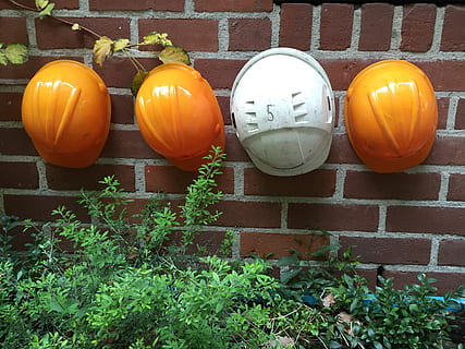 costruzione, casco operaio edile, timone, sicurezza, protezione, protetta, colore arancione, nessuno, pianta, zucca, cibo e bevande, cibo, verdura, celebrazione, Halloween, giorno, natura, caratteristica della parete, fianco a fianco, attrezzatura per l'illuminazione, di fila, all'aperto, arte e artigianato, architettura, gruppo di oggetti, 2K, CC0, dominio pubblico, privo di copyright