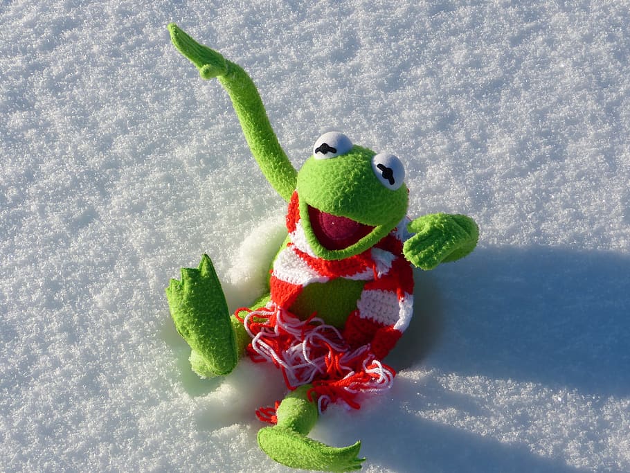 kermit, granota, diversió, neu, hivern, fred, cap gent, menjar i beguda, alimentació saludable, fruita, color verd, tir de l'estudi, temperatura de fred, menjar, festa, representació, celebració, naturalesa, Nadal, a l'interior, representació animal, natura morta, vermell, 4K