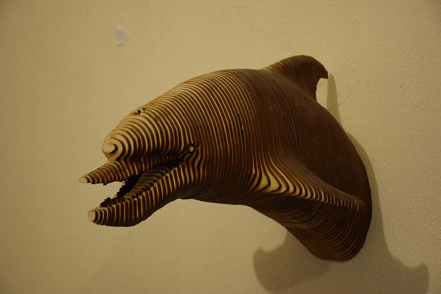 cap, dofí, arbre, animals, paret, naturalesa viva, art Contemporani, exposició, un animal, fauna animal, temes d'animals, peix, cap gent, tir de l'estudi, animal, vertebrats, a l'interior, animals a la natura, primer pla, naturalesa, ratlles, patró, longitud completa, aigua, zoologia, marques d’animals, animals en captivitat, vista lateral, marí, 4K