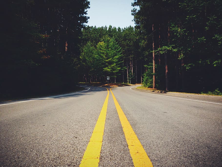 carretera, corba, bosc, línies, decisió, forquilla, simetria, direcció, arbre, símbol, el camí a seguir, signe, marcatge de carreteres, marcatge, transport, planta, doble línia groga, perspectiva decreixent, cap gent, naturalesa, asfalt, dia, groc, carretera buida, bellesa a la natura, a l'aire lliure, línia divisòria, nivell superficial, llarg, 2K