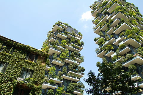 blanc i gris, concret, hotels, plantes, paret, blanc, verd, penjant, prestatge, a l'aire lliure, superior, arquitectura, edifici, infraestructura, blau, cel, planta, naturalesa, arbre, en fila, cap gent, dia, color verd, centrar-se en primer pla, exterior de l'edifici, destinacions de viatge, estructura construïda, vista d’angle baix, cel clar, barri residencial, llum solar, creixement, casa, religió, lloc de culte, apartament, 2K, CC0, domini públic, lliure de regalies