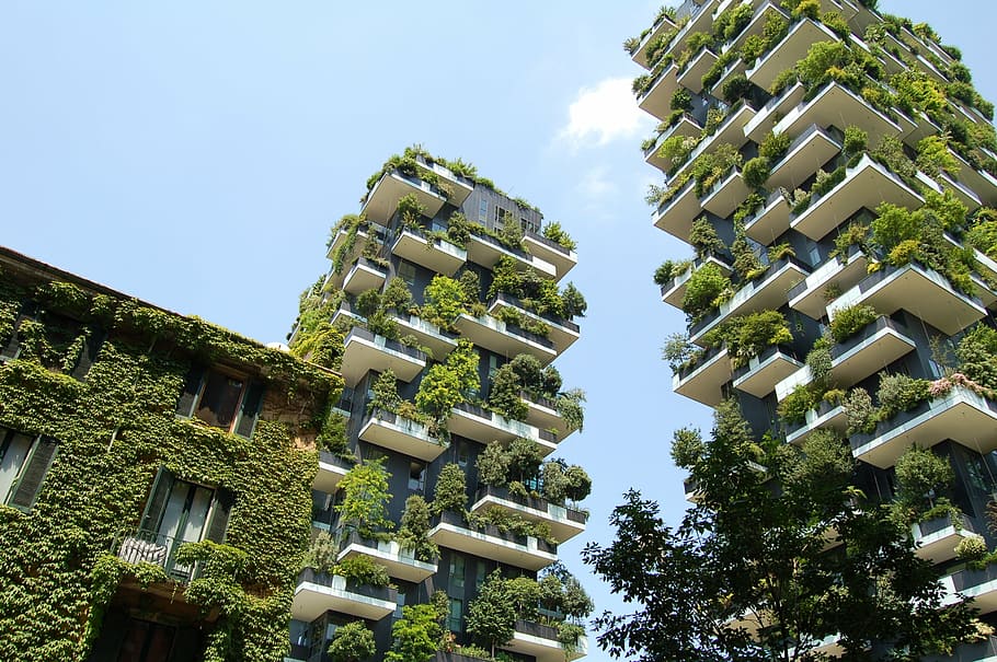 blanc i gris, concret, hotels, plantes, paret, blanc, verd, penjant, prestatge, a l'aire lliure, superior, arquitectura, edifici, infraestructura, blau, cel, planta, naturalesa, arbre, en fila, cap gent, dia, color verd, centrar-se en primer pla, exterior de l'edifici, destinacions de viatge, estructura construïda, vista d’angle baix, cel clar, barri residencial, llum solar, creixement, casa, religió, lloc de culte, apartament, 2K