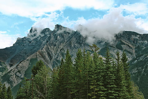 grønn, trær, brun, fjellene, hvit, solfylt, skyet, himmel, kall av naturen, fjell, Sky, skog, natur, landskap, scenics, fjellkjede, utendørs, fjelltopp, tre, ingen folk, landskaper, fargebilde, furutre, skjønnhet i naturen, naturskjønnhet - natur, anlegg, rolig scene, sky - himmel, ro, miljø, ikke-urbane scene, land, grønn farge, dag, vekst, nåletre, dannelse, furuskog, 5K, CC0, offentlig domene, opphavsrett gratis