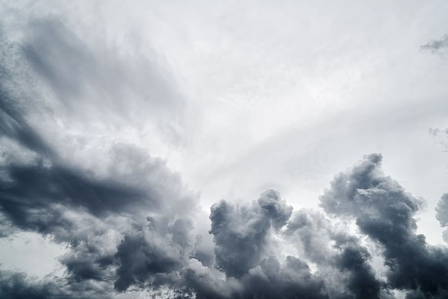 fugl, øjenblik, hvid, skyer, Sky, mørk, storm, baggrund, smuk, høj, sæson, det er i luften, luft, landskab, sort, miljømæssige, natur, udendørs, regn, regnfuld, grå, vinter, struktur, himmel, abstrakt, efterår, orkan, sky - himmel, skønhed i naturen, ingen mennesker, scenics - natur, cloudscape, lav vinkel visning, baggrunde, dramatisk himmel, dag, hvid farve, vind, overskyet, miljø, ro, fluffy, ildevarslende, klima, blødhed, tjavsede, meteorologi, 8K