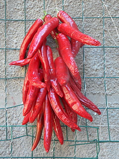 Peperoni, Chili, Scharf, rot, feurig, suspendiert, Schoten, Pfefferernte, roter Pfeffer, Schärfe, Paprika, Pfeffer, Lebensmittel, Essen, Gemüse, frisch, essbar, Chilischoten, hell, pikant, gesund, Vitamine, Jahreszeit, würzen, Essen und Trinken, keine Leute, Chili-Pfeffer, High Angle View, rote Chilischote, Frische, Stillleben, direkt darüber, Tag, Nahansicht, Wohlbefinden, gesundes Essen, Gruppe von Objekten, Wandbau - Funktion, draußen, 4K, CC0, gemeinfrei, lizenzfrei