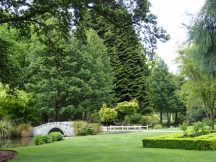 Park, Baum, eilen, Wiese, Nadelbaum, Natur, Brücke, Bach, Hecke, Neuseeland, Queenstown, Südinsel, Tourismus, Urlaub, Pflanze, grüne Farbe, Wachstum, Gras, Schönheit in der Natur, Tag, keine Leute, Garten, Park - menschgemachter Raum, Ruhe, formaler Garten, Szenen - Natur, Land, üppiges Laub, die Architektur, Laub, Grün, draußen, Ziergarten, 4K, CC0, gemeinfrei, lizenzfrei