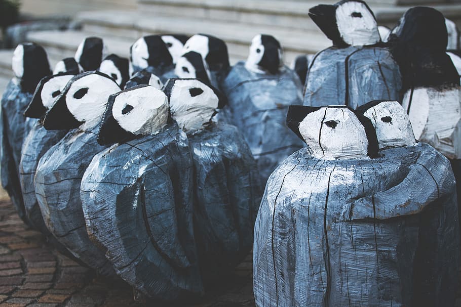 gris, blanc, decoració de pingüins, art, obra d'art, tallada, creativitat, decoració, grup, indústria, pingüins, rústic, escultura, carrer, hivern, fusta, talla de fusta, art i artesania, representació, cap gent, artesania, representació humana, joguina, semblança masculina, natura morta, dia, estàtua, material de fusta, centrar-se en primer pla, primer pla, a l'interior, figureta, joguina de peluix, 5K