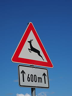 štít, Varování, wildwechsel, Poznámka, Pozor, dopravní značka, ulice znamení, riziko, hirsch, podepsat, varovná cedule, ulice, silnice, sdělení, modrý, nebe, vedení, čisté nebe, Příroda, tvaru trojúhelníku, text, den, symbol, nízký úhel pohledu, nikdo, přeprava, směr, tvar, slunný, symbol šipky, venku, pravidla, 4K, CC0, veřejná doména, bez autorských práv