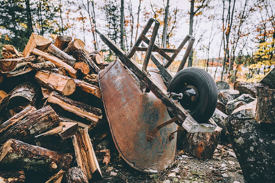 Marrone, carriola di metallo, pendente, legna da ardere, foresta, carriola, mucchio, ceppo, vecchio, arrugginito, logs, legna, danneggiato, abbandonato, obsoleto, metallo, albero, declino, corri giù, deterioramento, giorno, natura, nessuno, terra, legno - materiale, campo, ruota, all'aperto, distruzione, rovinato, discarica, 5K