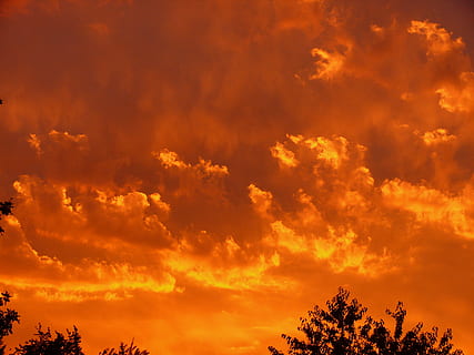 solnedgang, rød, skyer, himmel, aften, aftenhimmel, efterglød, humør, Abendstimmung, skumring, smuk, sundowning, sol, ild, sky - himmel, skønhed i naturen, træ, scenics - natur, orange farve, ro, rolig scene, lav vinkel visning, plante, natur, ingen mennesker, idyllisk, silhuet, dramatisk himmel, udendørs, sollys, ikke-urbane scene, trætop, 2K, CC0, offentligt domæne, royaltyfrie