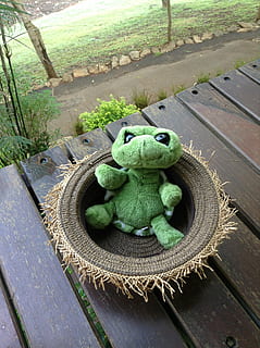 tartaruga, boneca, brinquedo, fofa, pelúcia, pele, suave, fofo, recheado, cor verde, visão de alto ângulo, madeira - material, dia, ninguém, representação animal, natureza, mesa, representação, réptil, ao ar livre, brinquedo de pelúcia, animal, temas animais, plantar, fechar-se, Banco, animais selvagens, verde, 2K, CC0, domínio público, royalty free