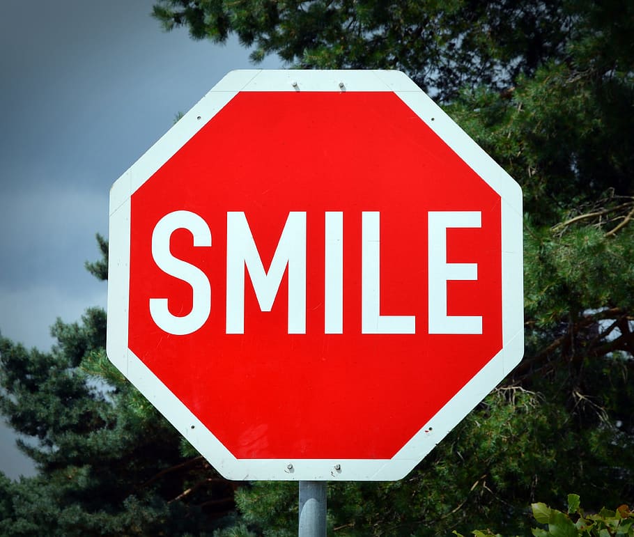 skjold, smil, Bemærk, rød, tekst, meddelelse, vestlige script, skilt, vejskilt, stort bogstav, ingen mennesker, advarselsskilt, natur, træ, Information, plante, tæt på, vejledning, dag, stopskilt, hvid farve, vej, informationsskilt, 4K