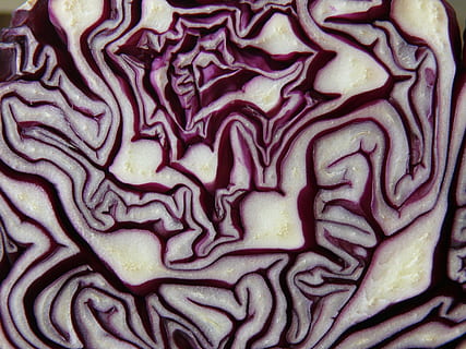 pintura abstracta, repollo rojo, repollo, rojo, Violeta, azul, vegetales, cortar, sección transversal, fotograma completo, antecedentes, modelo, nadie, comida y bebida, comida, patrón natural, adentro, de cerca, texturizado, frescura, alimentos crudos, bienestar, resumen, alimentación saludable, vegetal, naturaleza muerta, naturaleza, comida vegetariana, 2K, CC0, dominio público, libre de derechos