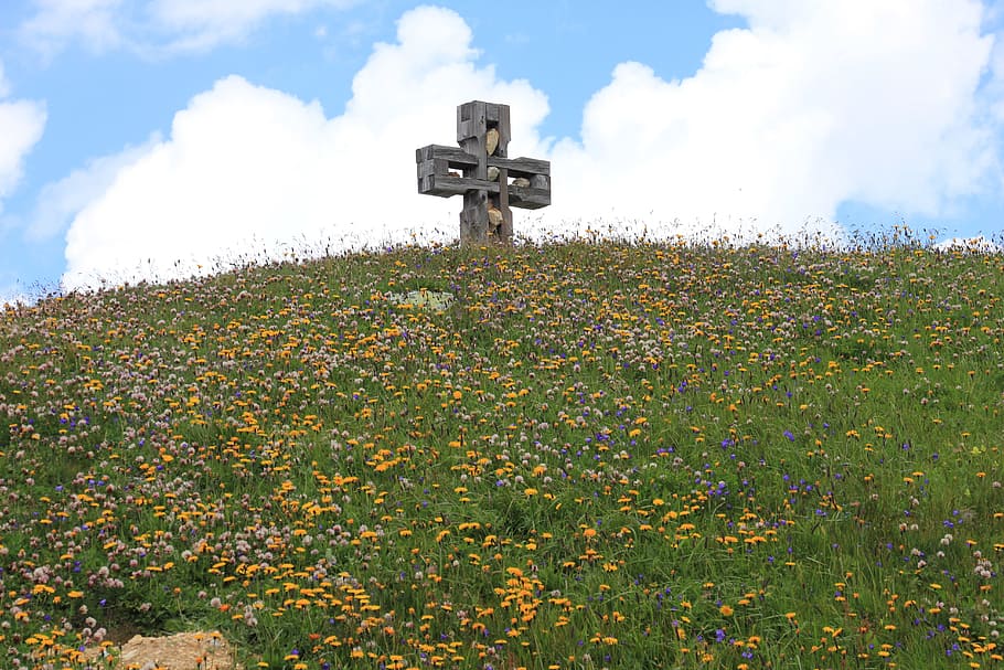 creu de cim, creu, creu, alpí, cim, creu, alpinisme, muntanya, muntanyes, cel, caminada, punt de vista, naturalesa, baviera, suïssa, zillertal, algäu alps, prat, panorama, núvol - cel, camp, dia, tecnologia, agricultura, planta, cap gent, terra, planta amb flors, flor, religió, bellesa a la natura, creixement, a l'aire lliure, herba, tranquil·litat, frescor, creença, 5K