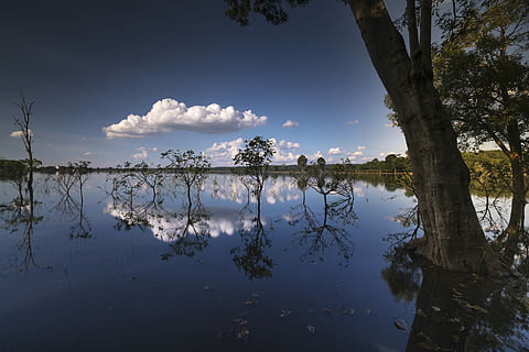 Seehorizont, tagsüber, Sonnenuntergang, draussen, Baum, Hintergrund, nett, natürlich, Grün, Schönheit, Himmel, Wasser, volle Farbe, Pflanze, Reise, Frühling, Jahreszeit, Landschaft, draußen, Hals, Single, Die Sonne, reflektieren, beeindruckend, der Park, tropisch, Wald, Szene, Herbst, szenisch, Welle, der Morgen, allein, Sonnenaufgang, traurig, Reflexion, Ruhe, Schönheit in der Natur, wolke - himmel, ruhige Szene, See, Natur, Szenen - Natur, Tag, keine Leute, Kofferraum, idyllisch, Baumstamm, Wachstum, Reflexionssee, 8K, CC0, gemeinfrei, lizenzfrei