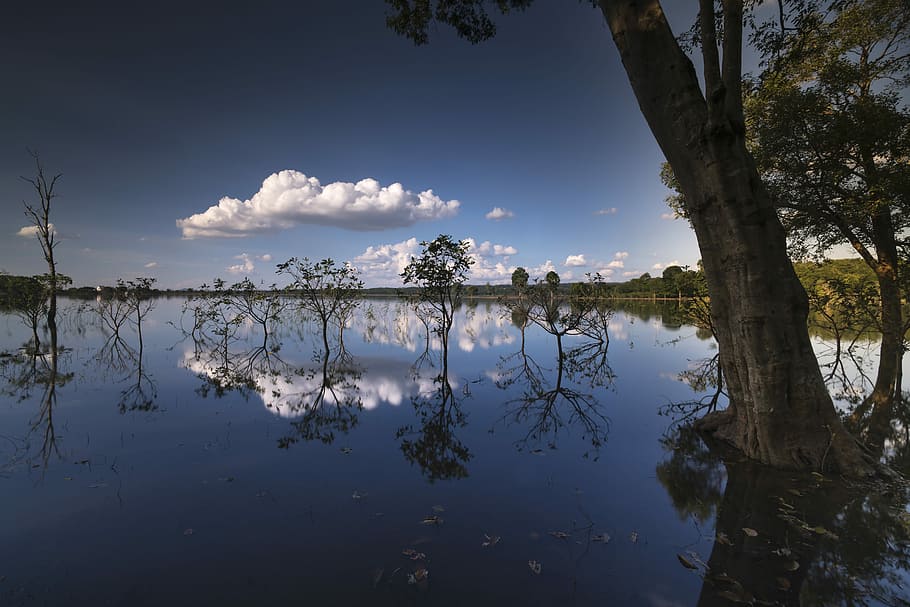 Seehorizont, tagsüber, Sonnenuntergang, draussen, Baum, Hintergrund, nett, natürlich, Grün, Schönheit, Himmel, Wasser, volle Farbe, Pflanze, Reise, Frühling, Jahreszeit, Landschaft, draußen, Hals, Single, Die Sonne, reflektieren, beeindruckend, der Park, tropisch, Wald, Szene, Herbst, szenisch, Welle, der Morgen, allein, Sonnenaufgang, traurig, Reflexion, Ruhe, Schönheit in der Natur, wolke - himmel, ruhige Szene, See, Natur, Szenen - Natur, Tag, keine Leute, Kofferraum, idyllisch, Baumstamm, Wachstum, Reflexionssee, 8K