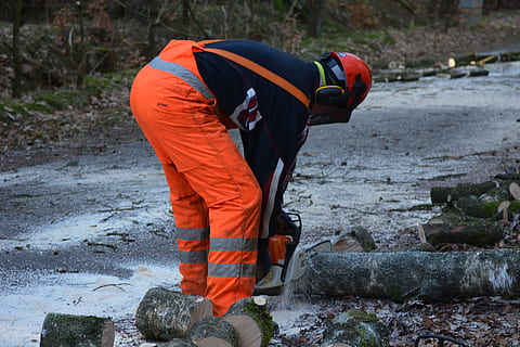 Arbeit, Mensch, Wald, Log, Baum, Waldarbeiter, Wasser, Winter, kalte Temperatur, Erwachsene, Menschen, Arbeitsschutzkleidung, Besetzung, echte Menschen, Männer, eine Person, Arbeiten, Kleidung, Biegen, Tag, Schutz, reflektierende Kleidung, Stehen, orange Farbe, Natur, Sicherheit, Uniform, Regen, warme Kleidung, 5K, CC0, gemeinfrei, lizenzfrei